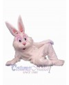 Easter Bunny Rabbit mascot costume