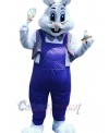 Easter Bunny Rabbit mascot costume