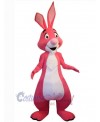 Easter Bunny Rabbit mascot costume