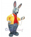 Easter Bunny Rabbit mascot costume