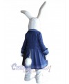 Easter Bunny Rabbit mascot costume