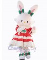 Easter Bunny Rabbit mascot costume