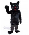 Leopard mascot costume