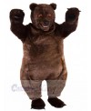 Bear mascot costume