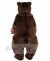 Bear mascot costume