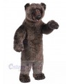 Bear mascot costume
