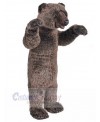 Bear mascot costume