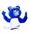 Bear mascot costume