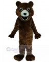 Bear mascot costume