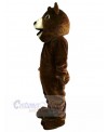 Bear mascot costume