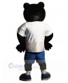 Bear mascot costume