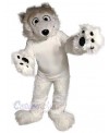 Bear mascot costume