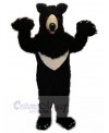 Bear mascot costume