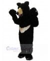 Bear mascot costume