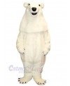 Bear mascot costume