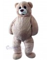 Bear mascot costume
