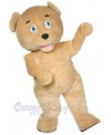 Bear mascot costume