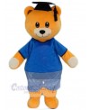 Bear mascot costume