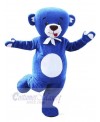 Bear mascot costume