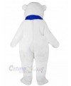 Bear mascot costume