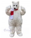 Bear mascot costume