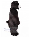 Bear mascot costume