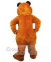 Bear mascot costume