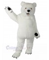 Bear mascot costume