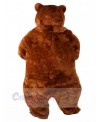 Bear mascot costume