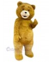 Bear mascot costume