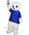 Bear mascot costume