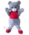 Bear mascot costume