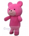Bear mascot costume