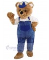 Bear mascot costume
