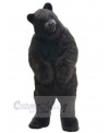 Bear mascot costume