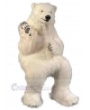 Bear mascot costume