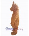 Bear mascot costume