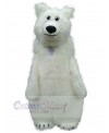 Bear mascot costume