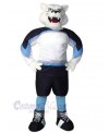 Bear mascot costume