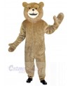 Bear mascot costume