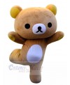Bear mascot costume