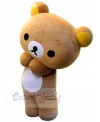 Bear mascot costume