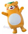 Bear mascot costume