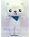 Bear mascot costume