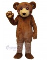Bear mascot costume