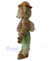 Bear mascot costume