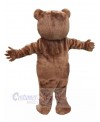 Bear mascot costume