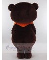 Bear mascot costume