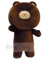 Bear mascot costume