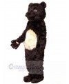 Bear mascot costume